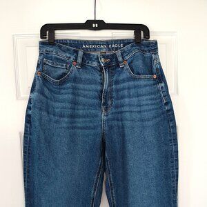 American Eagle Mom Jeans Size 6 Long